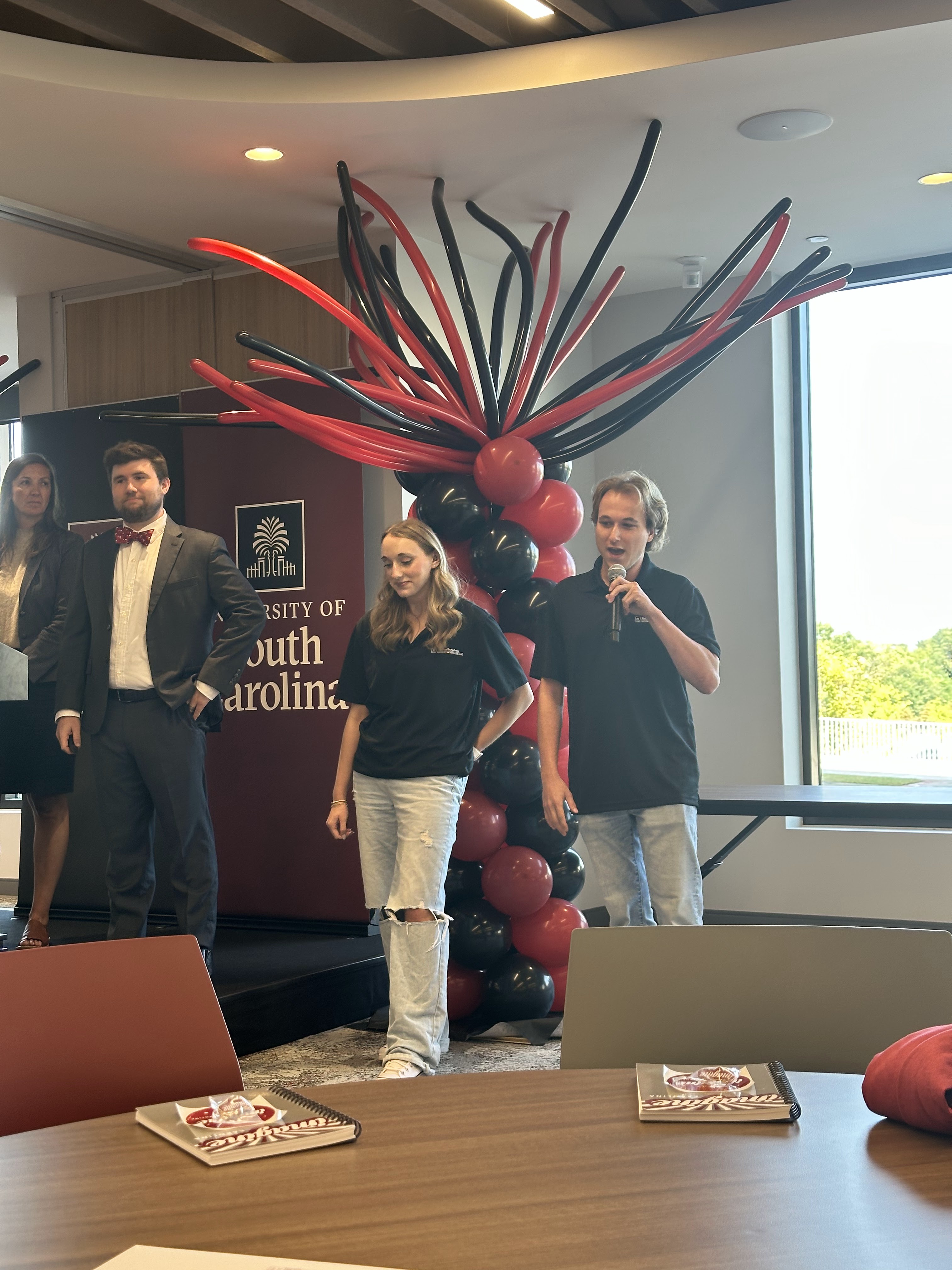 Imagine Carolina Presentation